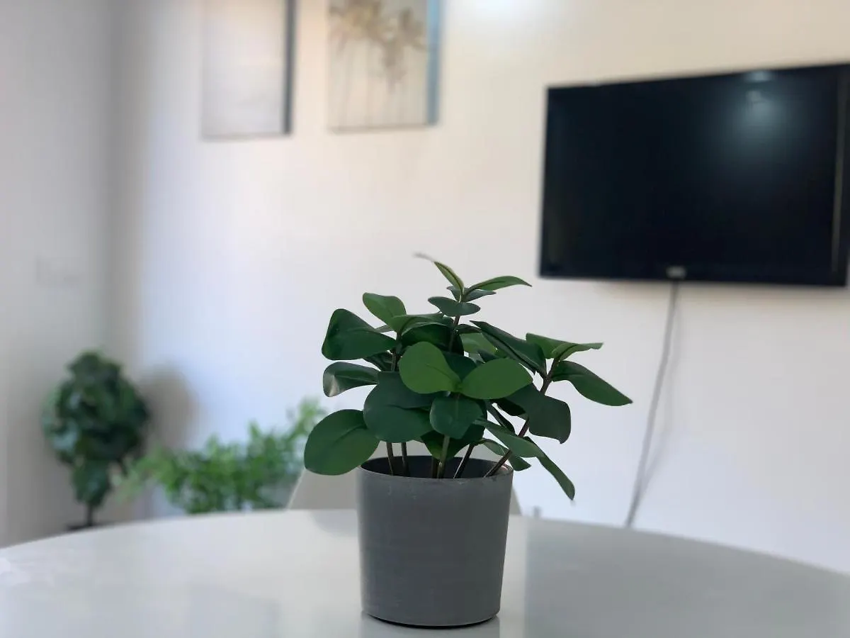 Fantastic Apartment. Los Cristianos. Free Wifi. Los Cristianos  Apartment